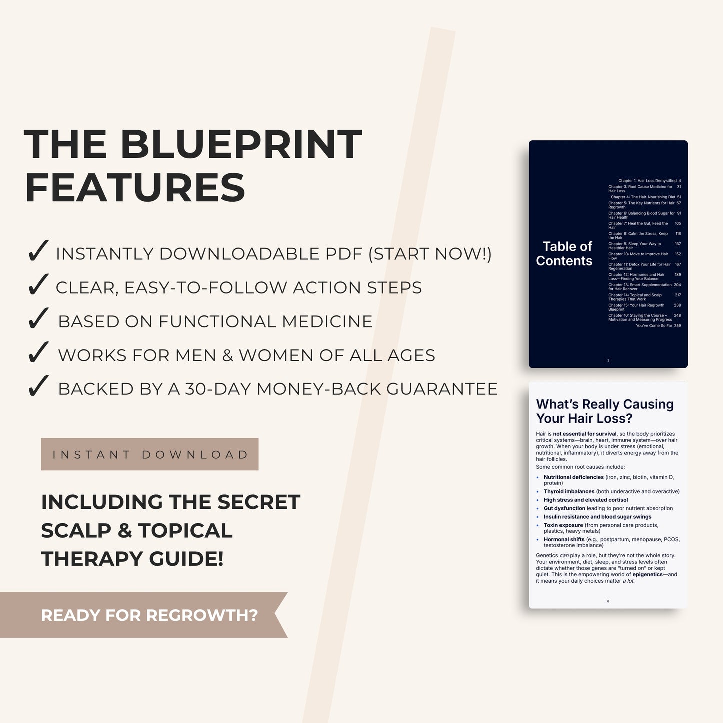 The Hair Regrowth Blueprint: How to Reverse Hair Loss Naturally