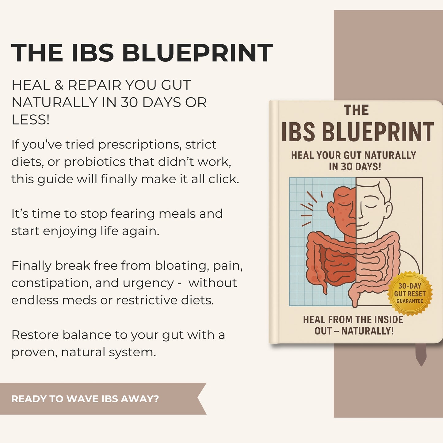 The IBS Blueprint: A 30 Day Natural Final Reset for Your Gut