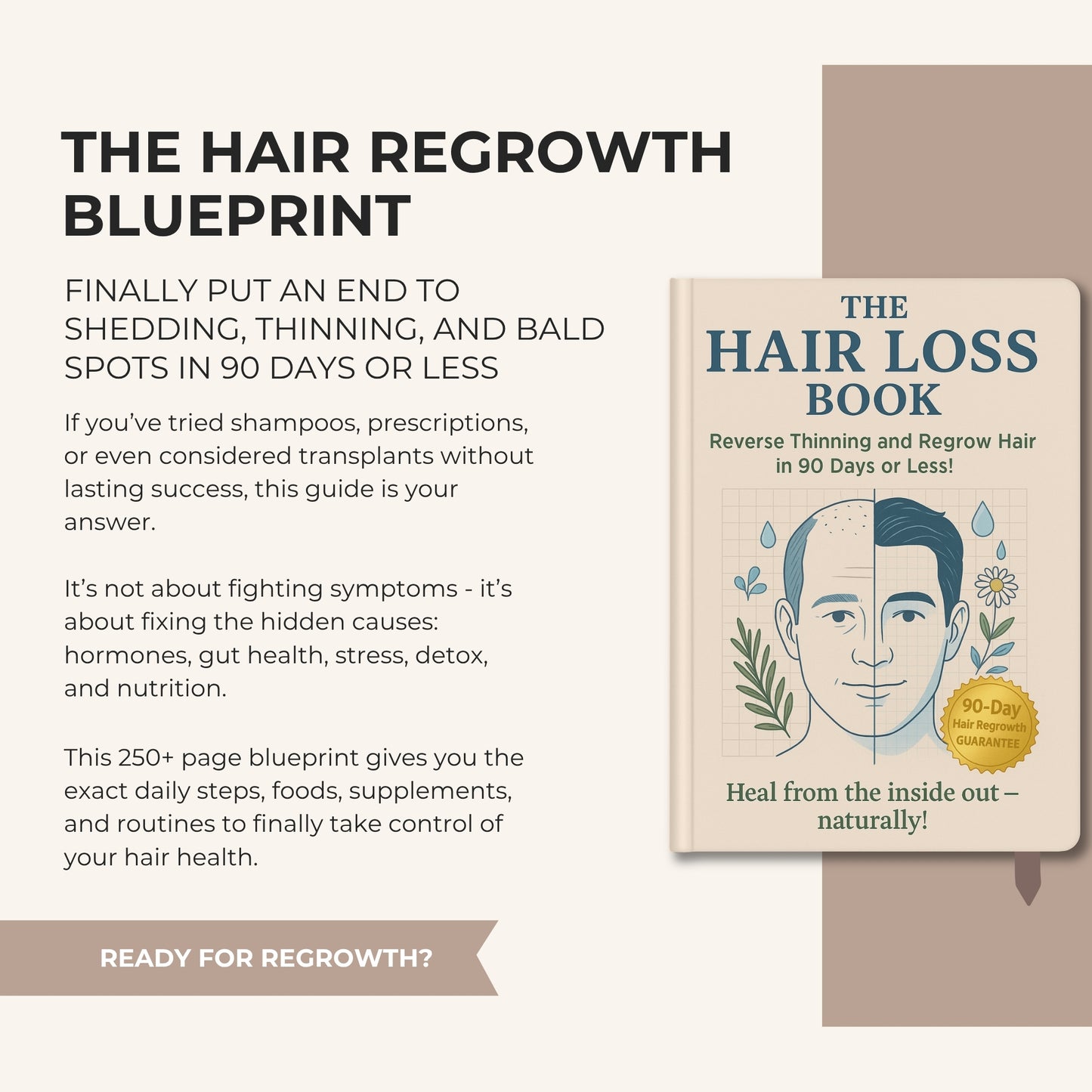 The Hair Regrowth Blueprint: How to Reverse Hair Loss Naturally