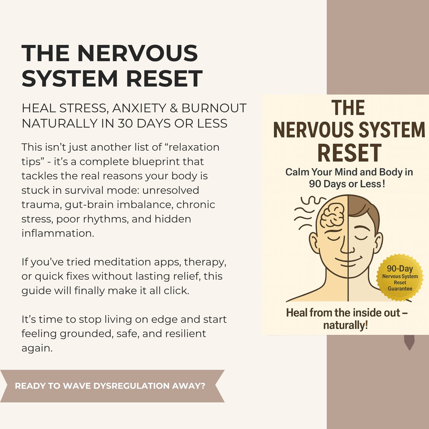 The Nervous System Reset: How to Heal Stress, Anxiety, and Burnout Naturally In 30 Days